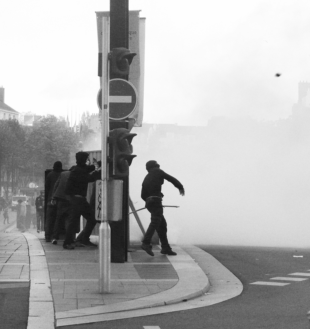 Manif 1...01.11.14 - Nantes