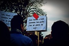 Manif' anti-Hollande - 10 -