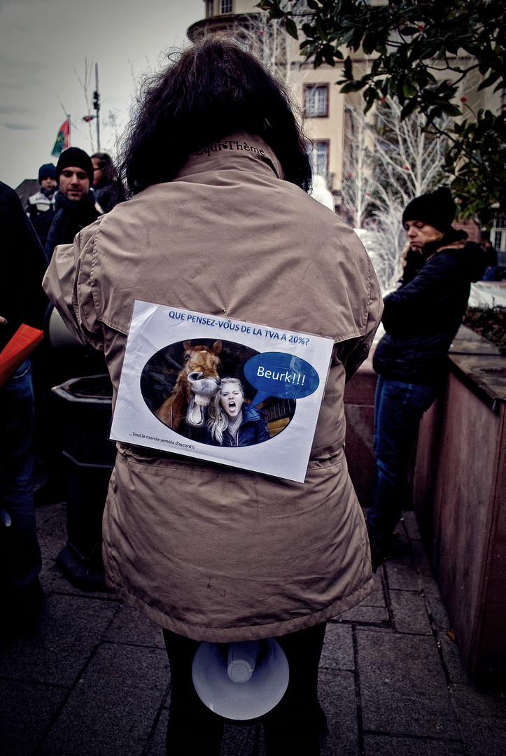 Manif' anti-Hollande - 3 -