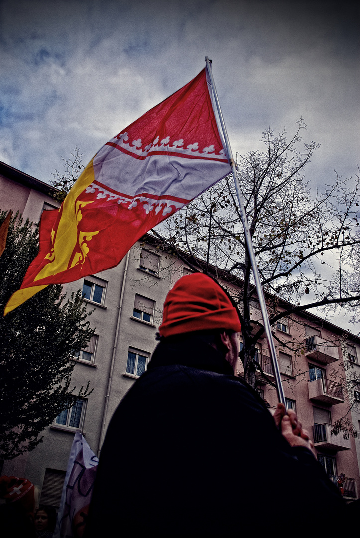 Manif' anti-Hollande - 7 -