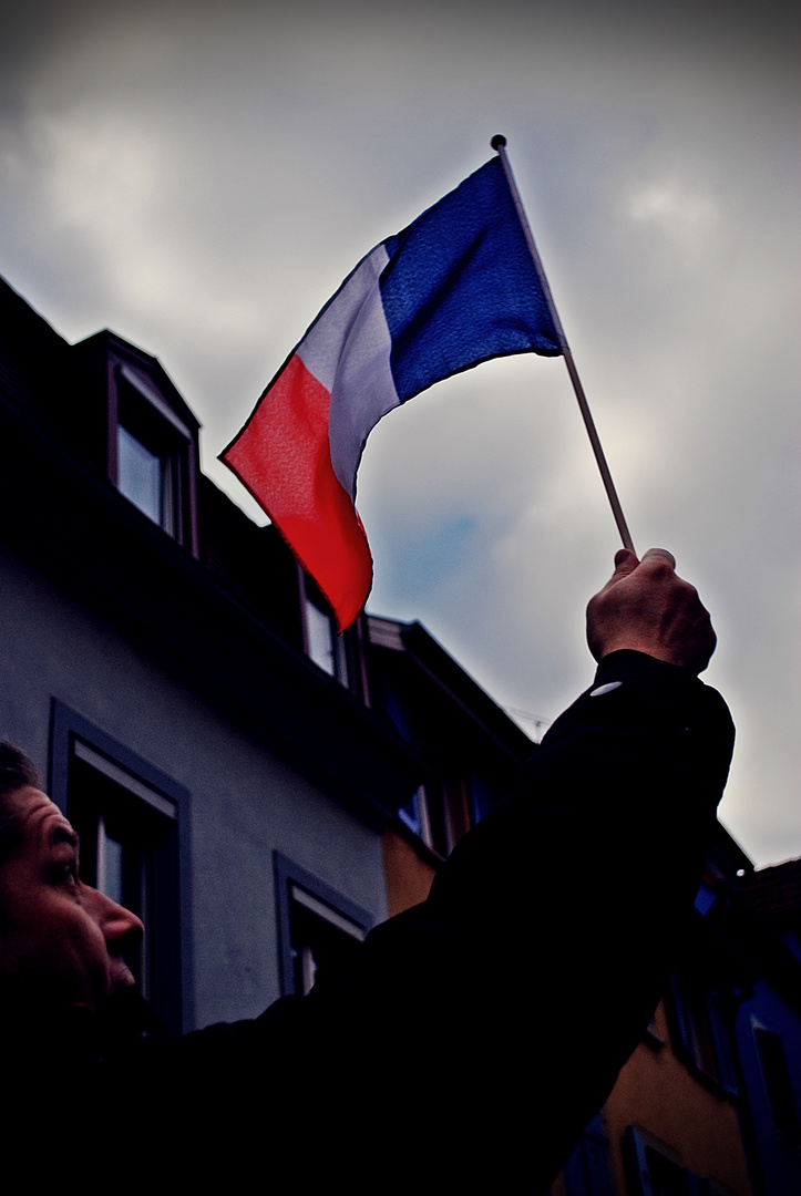 Manif' anti-Hollande - 9 -