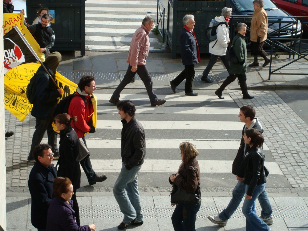 manif de mars 2008 à rennes contre les OGM