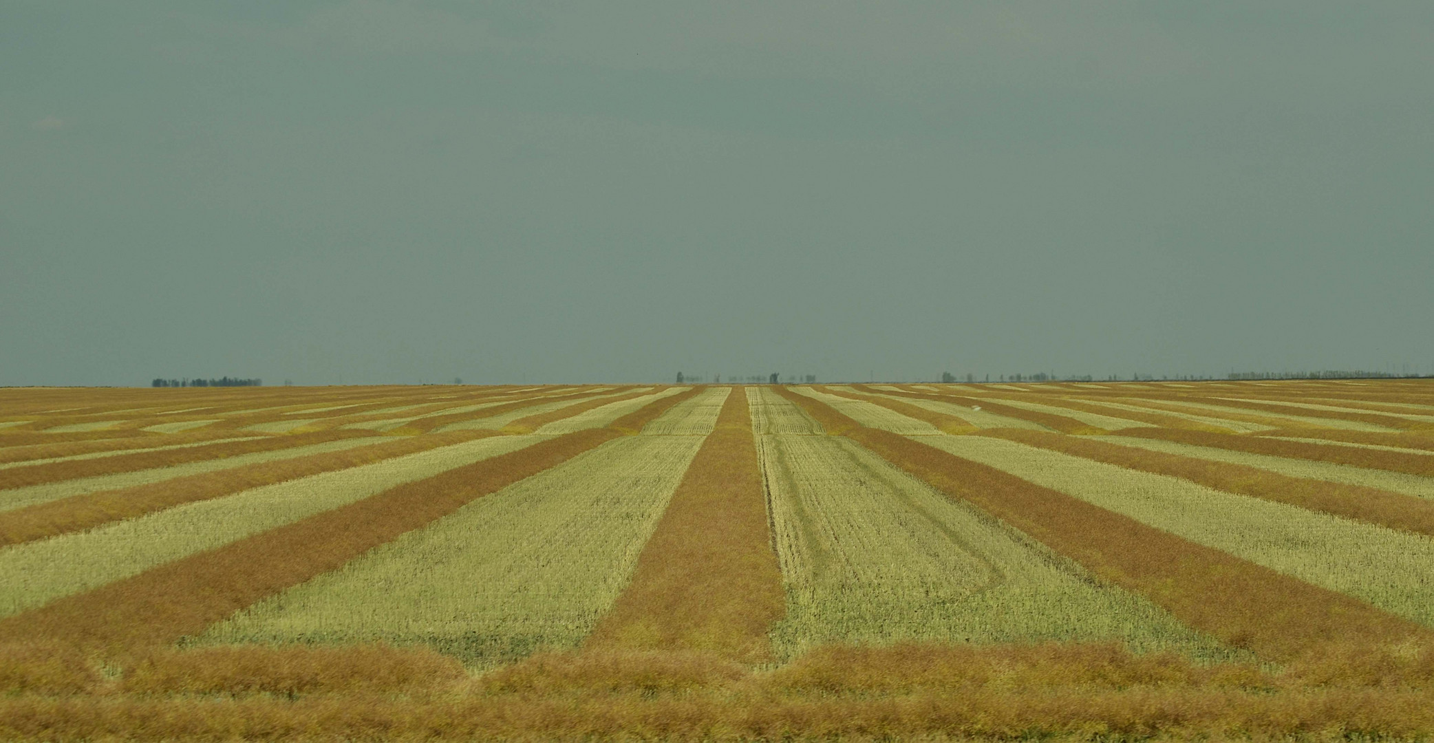 Manitoba