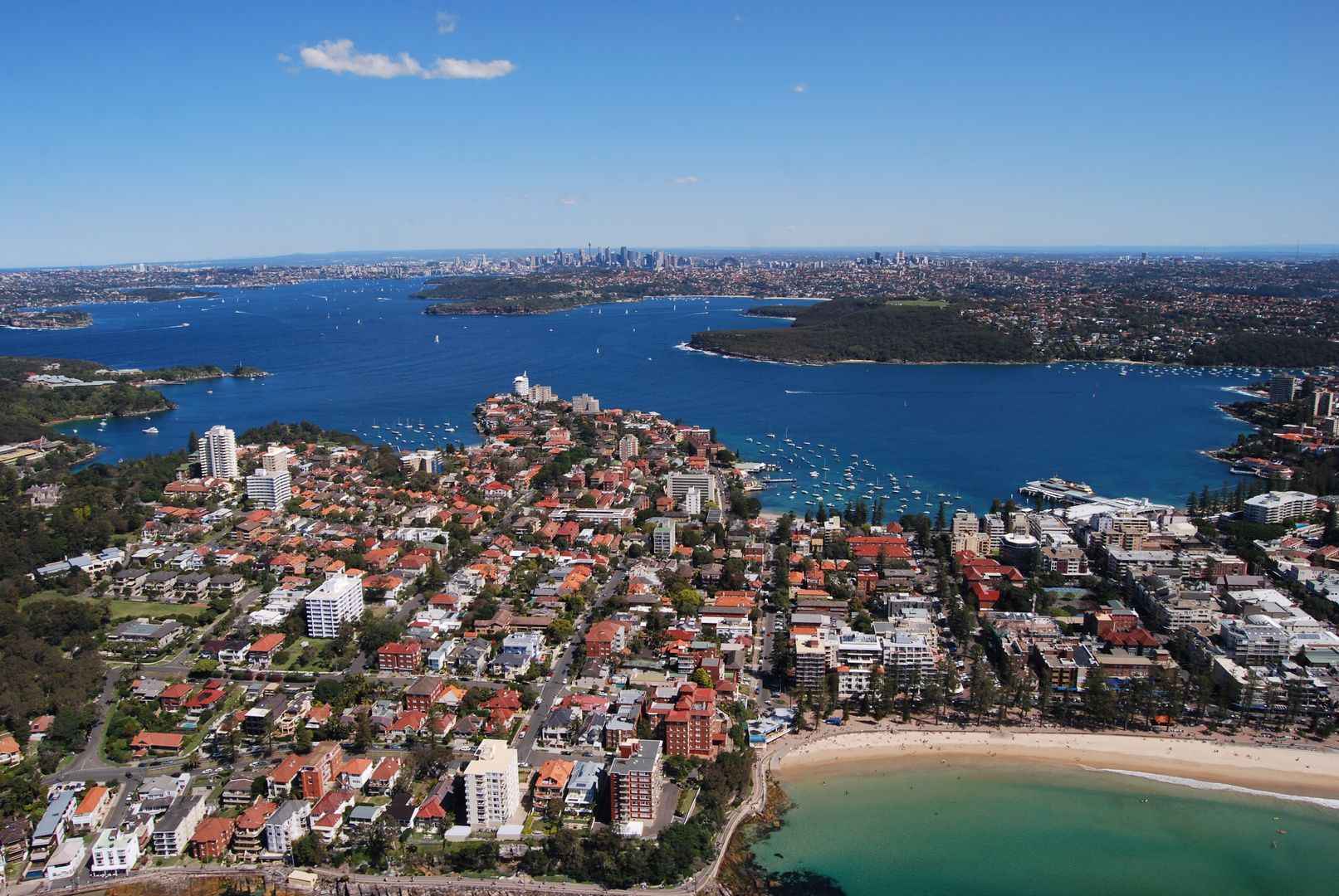 Manly and Sydney