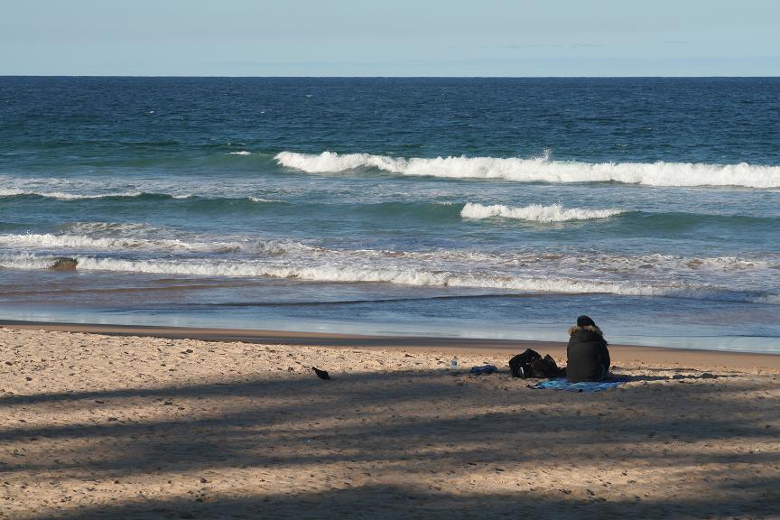 Manly Beach 2