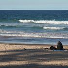 Manly Beach 2