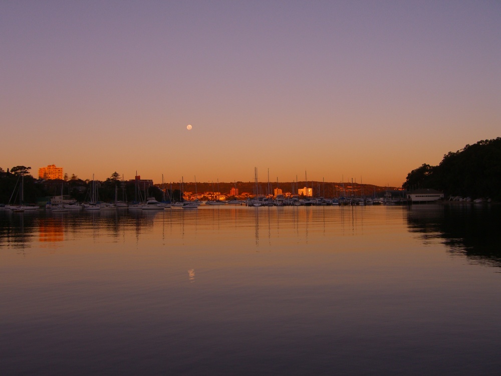 manly scenic walk