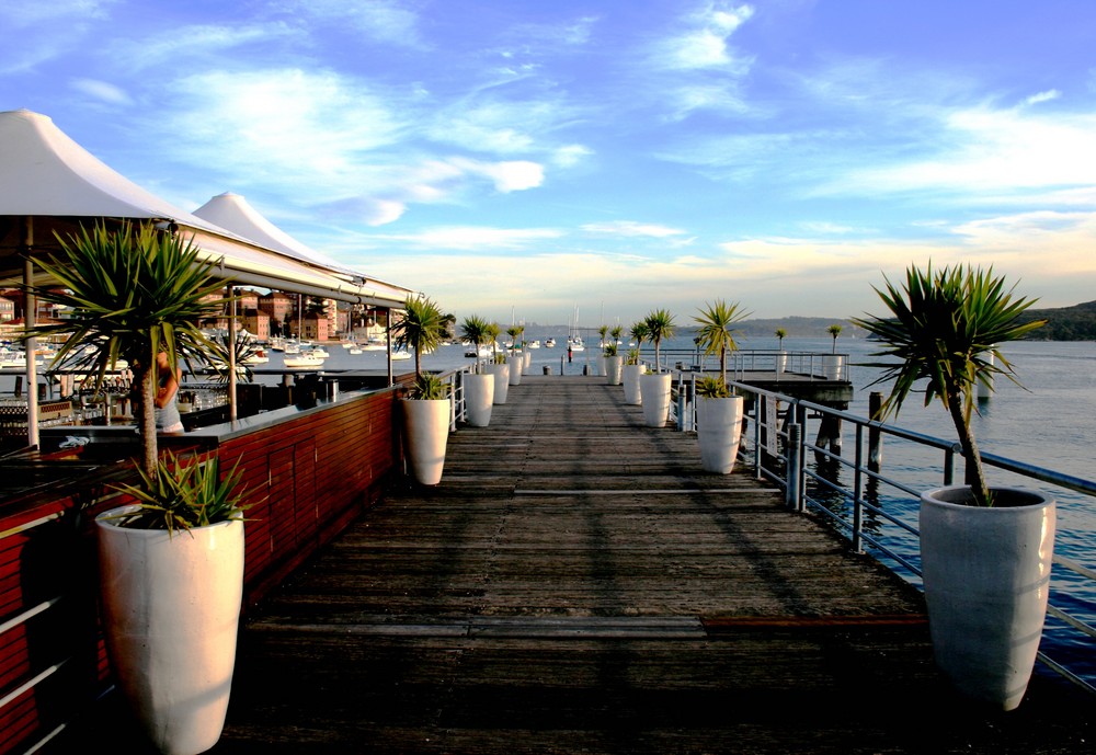 Manly wharf bar