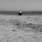 Mann am Strand bei Ebbe