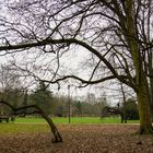 Mann auf Baum