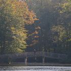 Mann auf der Brücke