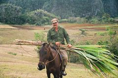 MANN auf PFERD Cuba