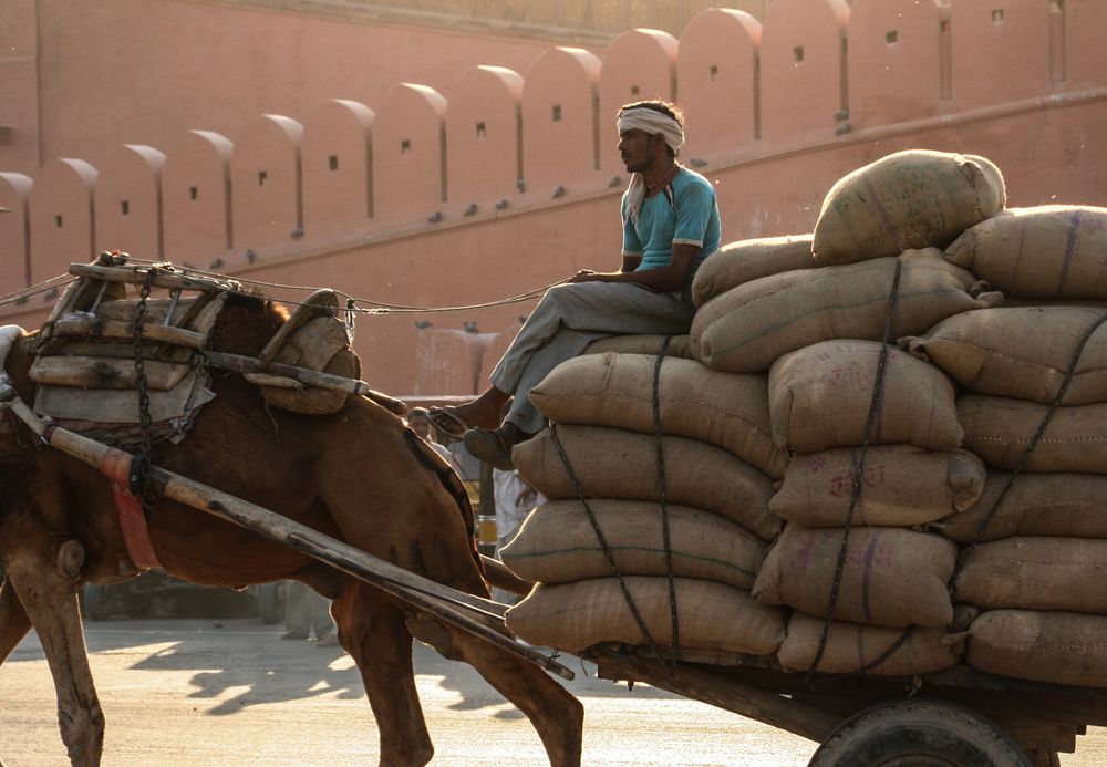 Mann auf Wagen India