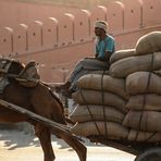 Mann auf Wagen India