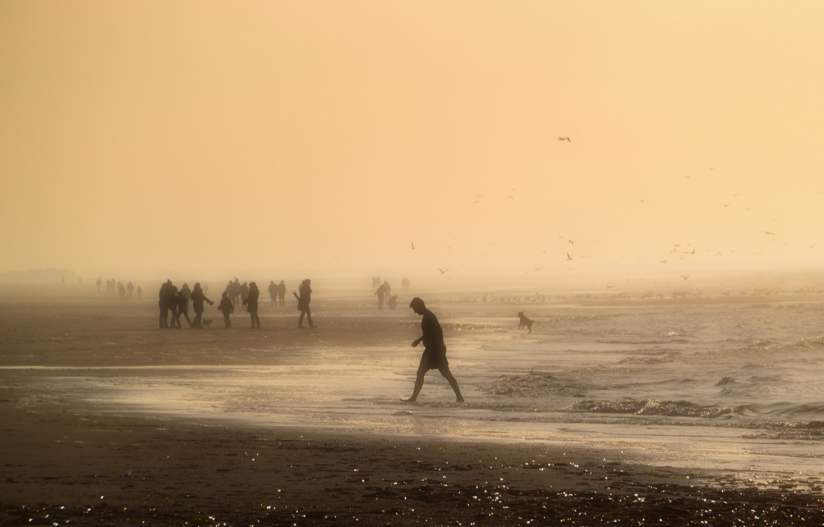 Mann aus dem Meer