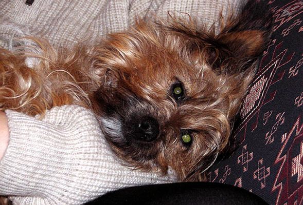 "Mann geht's mir gut..."