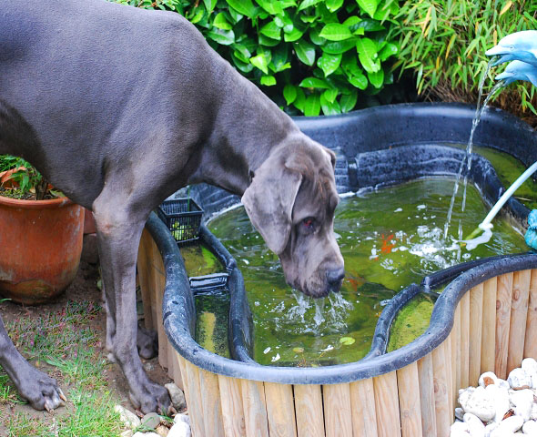 Mann, hab ich nen Durst! Ob das Wasser wohl reicht?