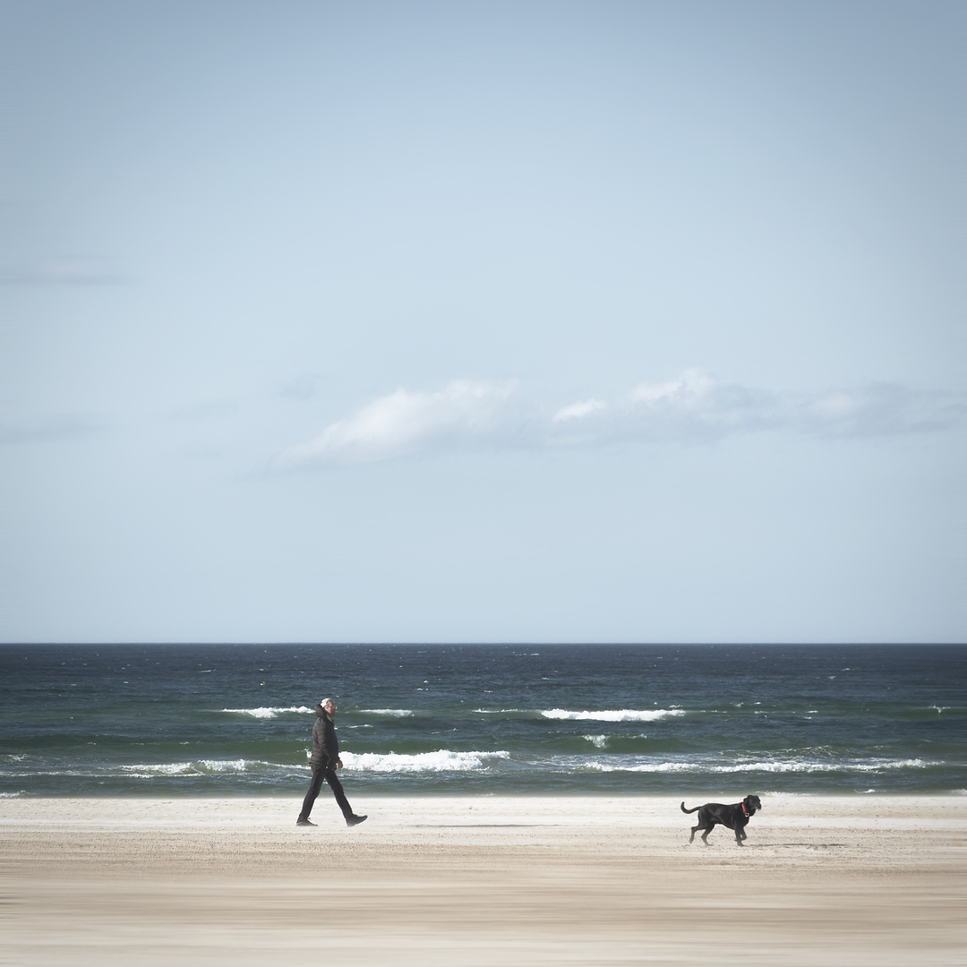Mann, Hund, Meer, Strand, Wind ...