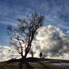 Mann, Hund und Baum (Mann bin ich, Foto stammt von ilse, nachbearbeitet von mir) 