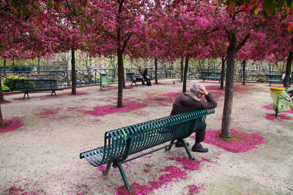 Mann im Park - Paris