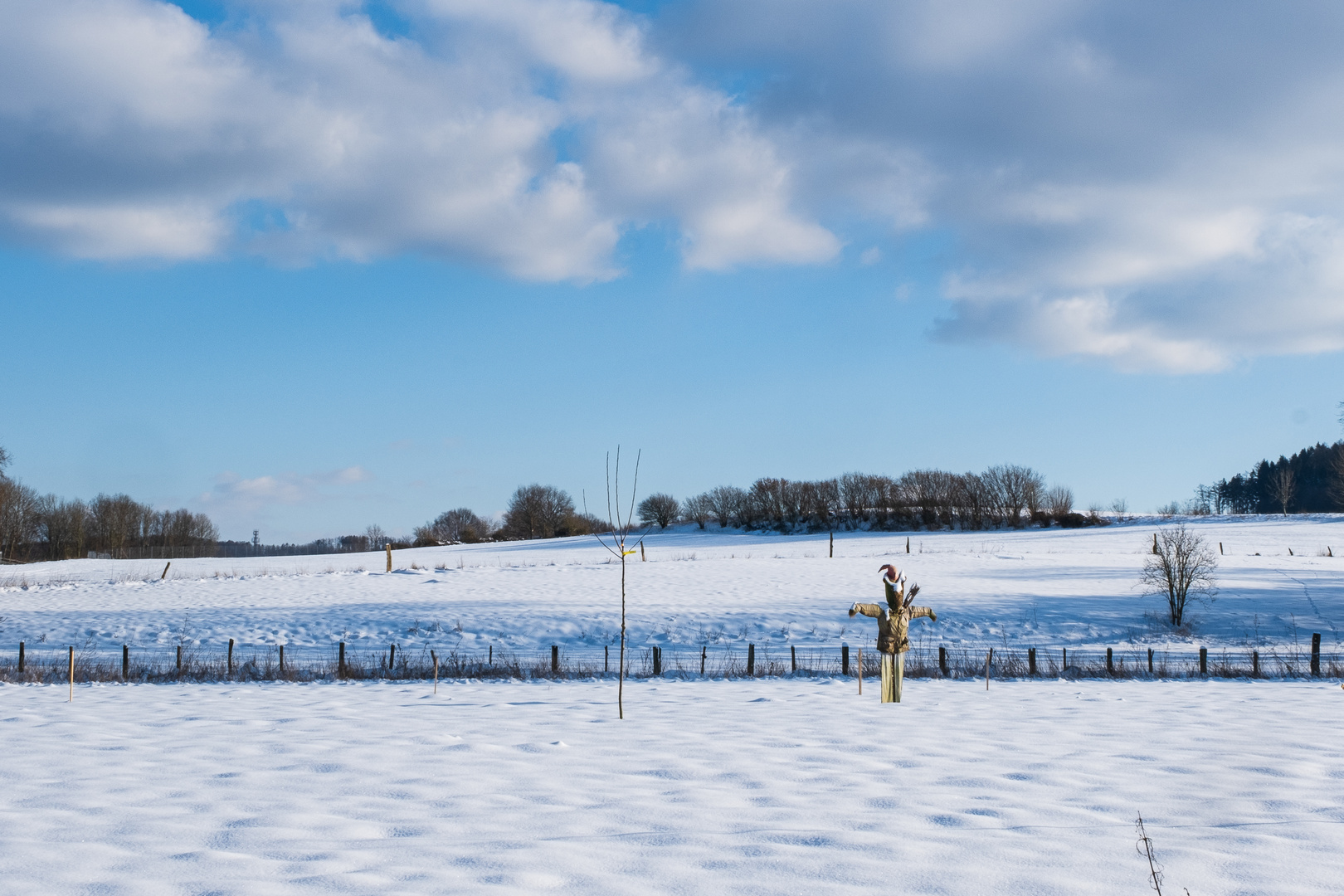 Mann im Schnee