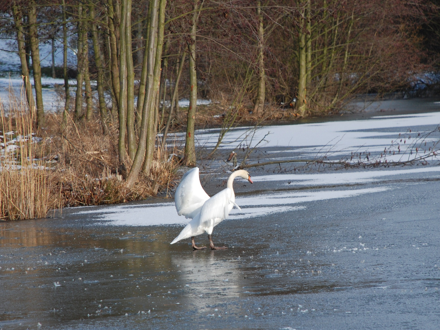 Mann, ist das glatt hier