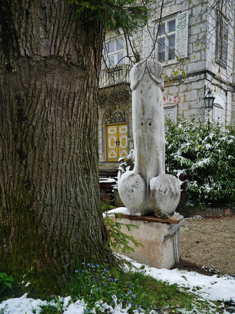 MANN - MANN - welch' ein Baum !