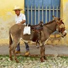 Mann mit Esel in Trinidad KUBA