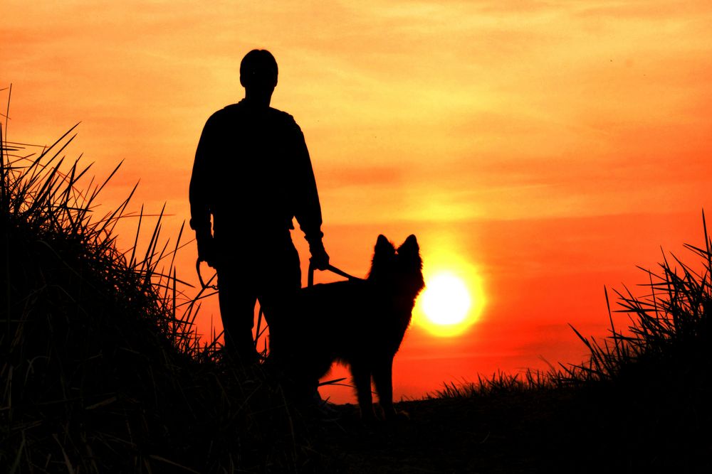 Mann mit Hund Foto & Bild sonnenuntergänge, himmel & universum, natur