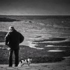 Mann mit Hund am Nordseestrand