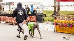 Mann mit Hund am Venice Beach, Los Angeles