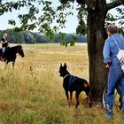 Mann mit Hund