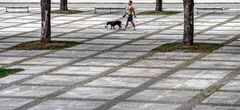 Mann mit Hund, Hund mit Ball