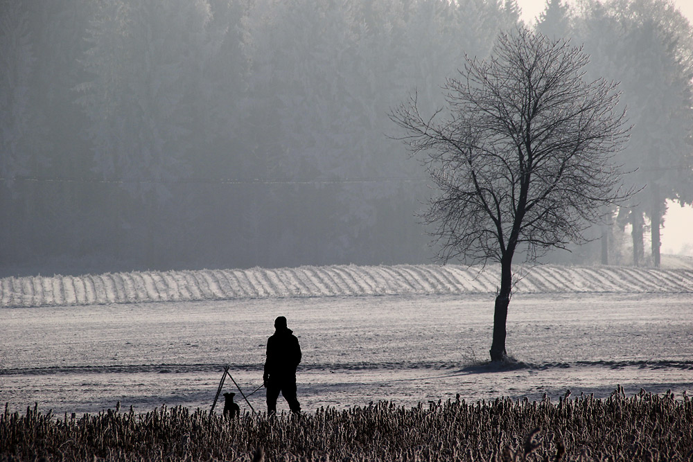 Mann mit Hund im "Dreieck"