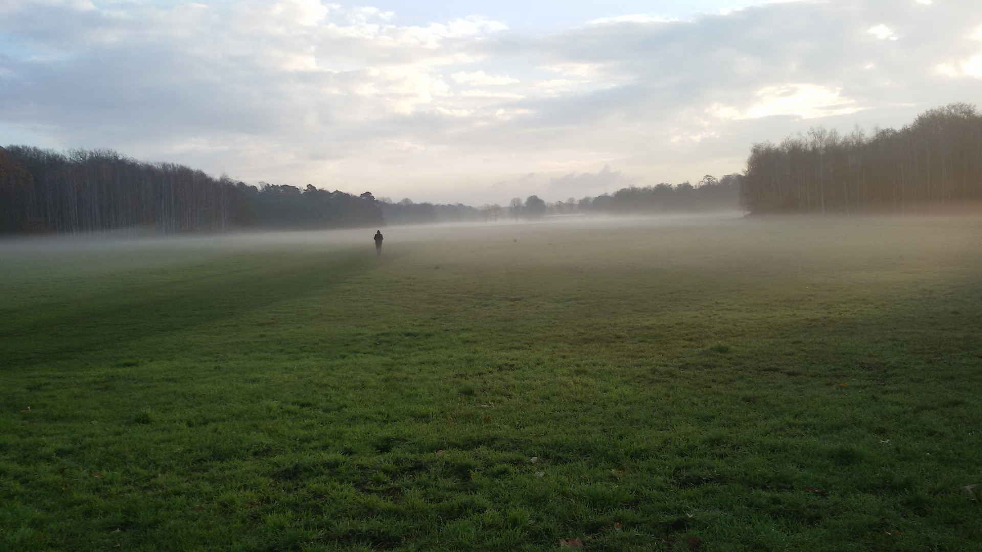 Mann mit Hund im Nebel