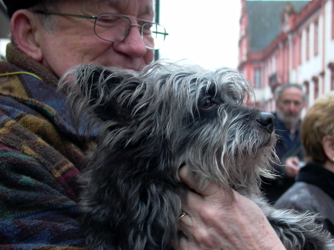 Mann mit Hund in Mainz