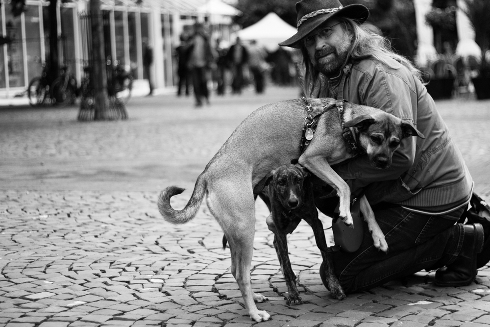 ~ mann mit hut und hunden ~