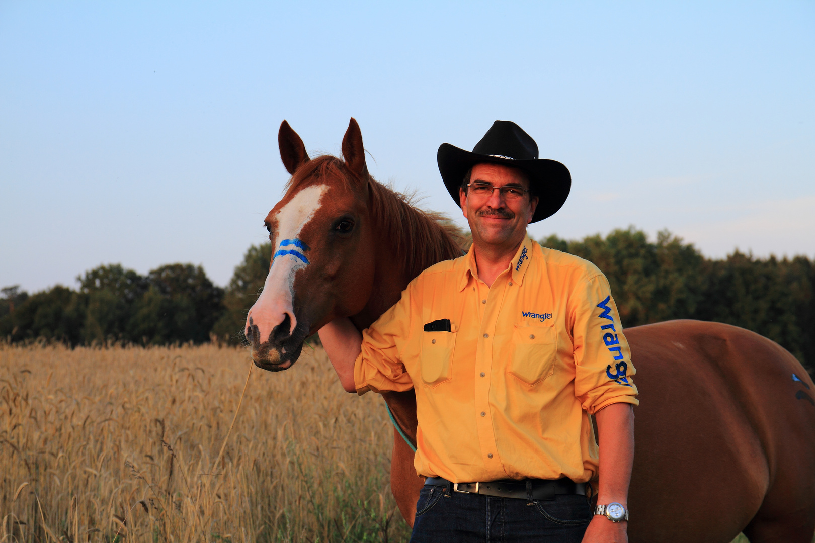 Mann mit paint horse auf dem Feld 2014 Spätsommer