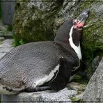 Mann o Mann, Ostern war vielleicht anstrengend