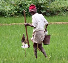 Mann rote Muetze worksongs Sri Lanka