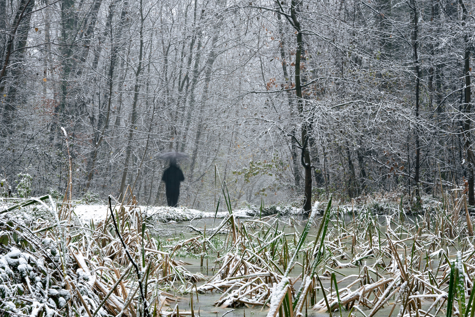 Mann Schnee Wald