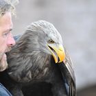 Mann und Adler 2