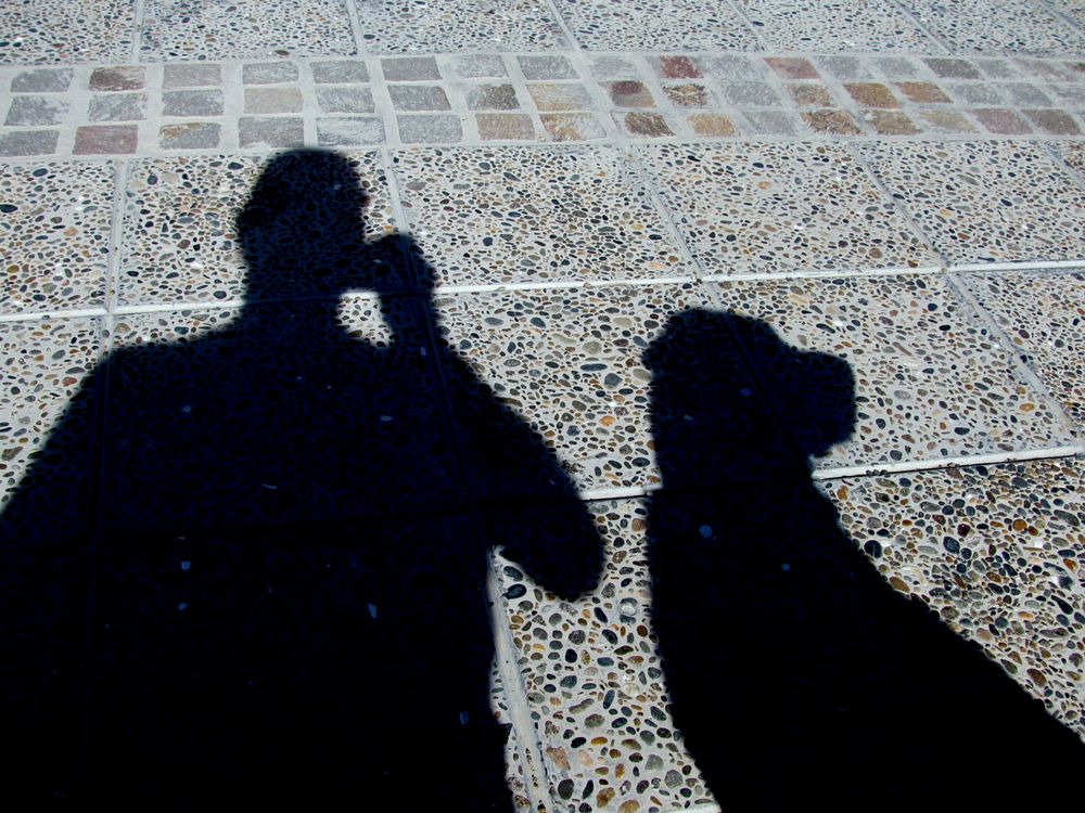 Mann und Hund im Schatten