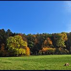 Mann, war das mal schön bunt!