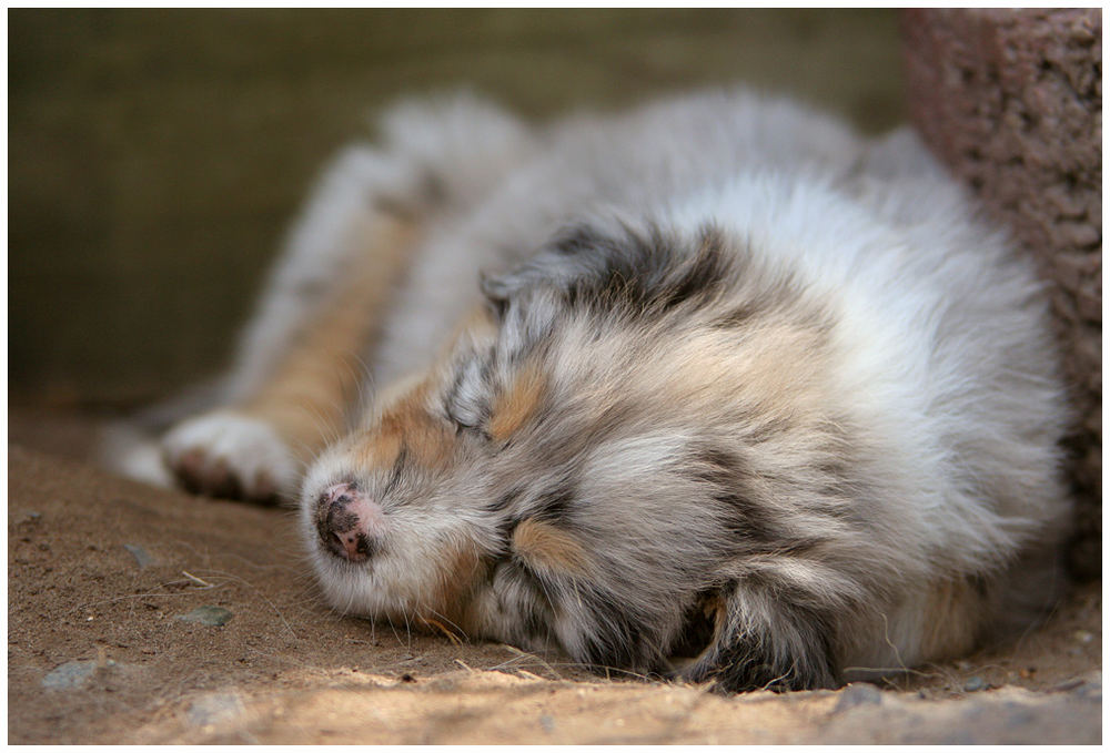 "Mann, war der Tag anstrengend!"