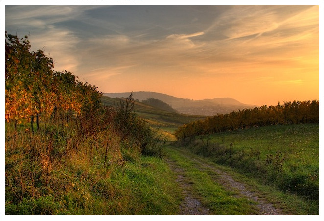 Mannaberg im herbstlichen Licht