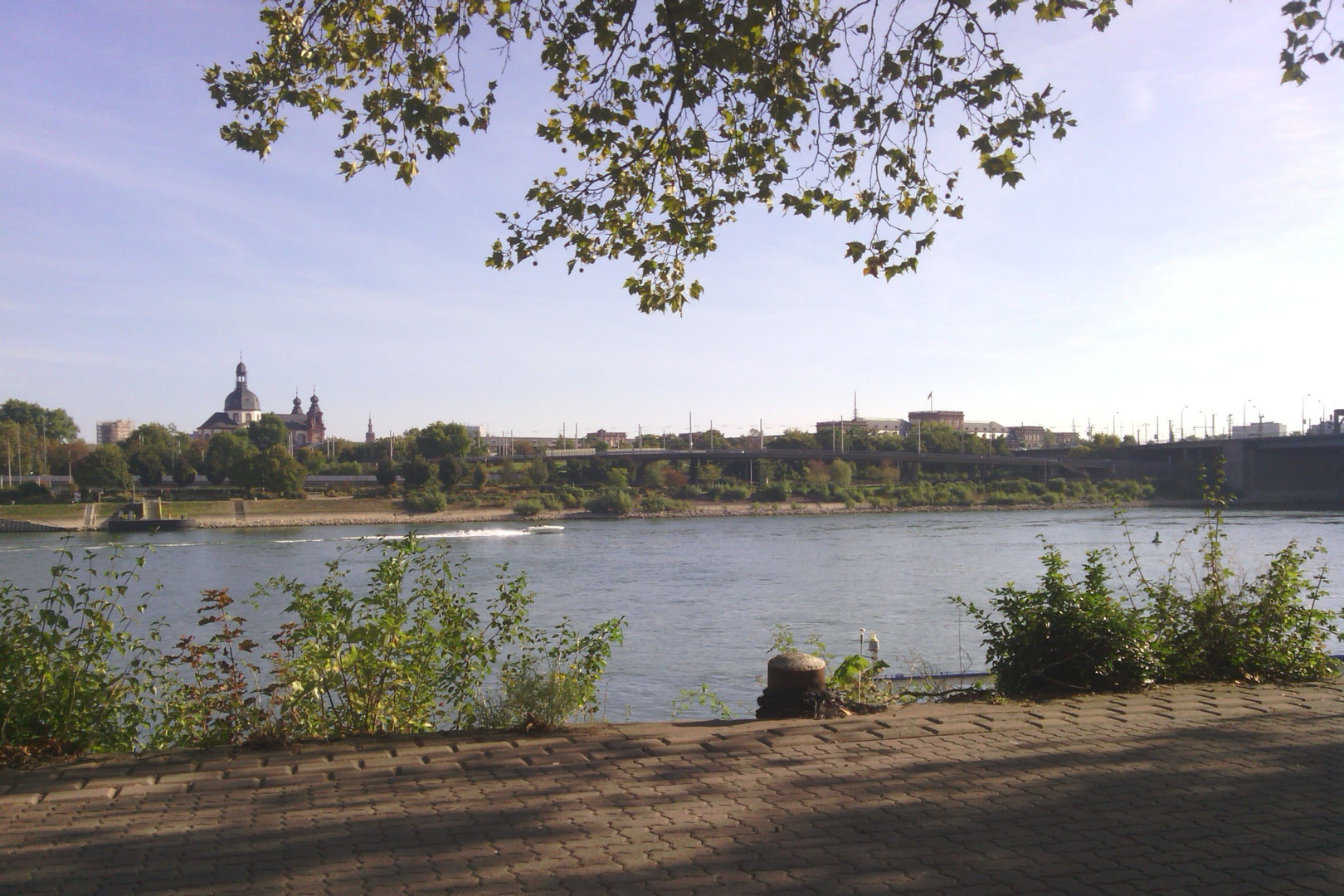 Mannheim am Rhein