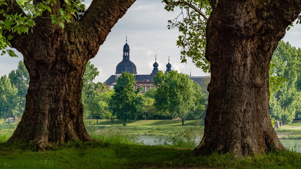 Mannheim.  Blick zur Jesuitenkirche von der Parkinsel.