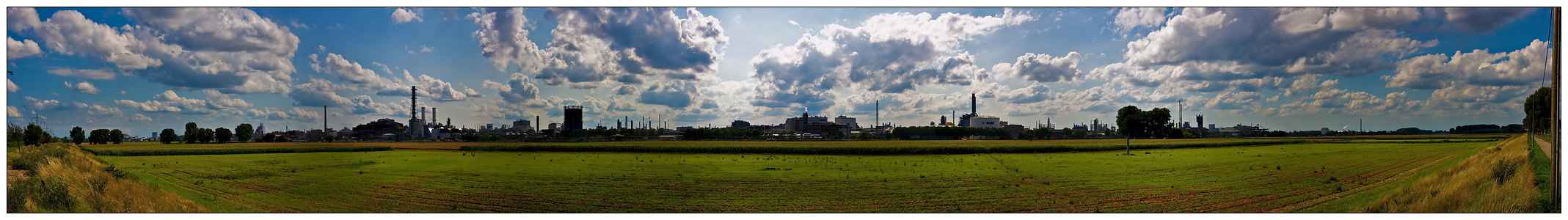 Mannheim, Friesenheimer Inseln