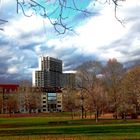 Mannheim, Luisenpark im Herbst